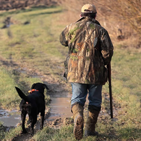 Da Venerdì 23 Agosto il rilascio dei tesserini venatori regionali