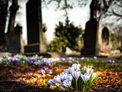 Cimitero e fiori